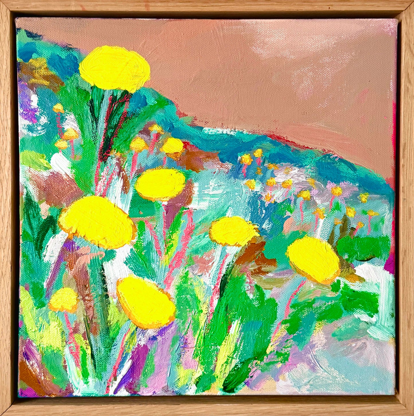 Billy buttons 1