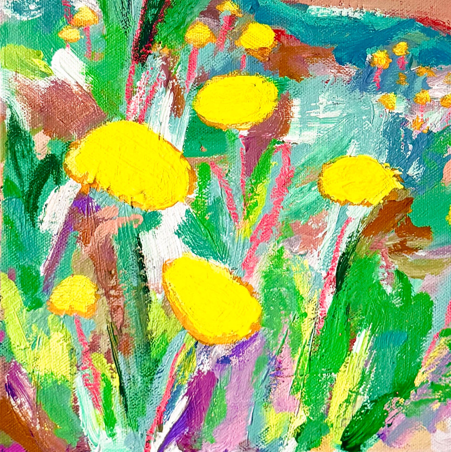 Billy buttons 1