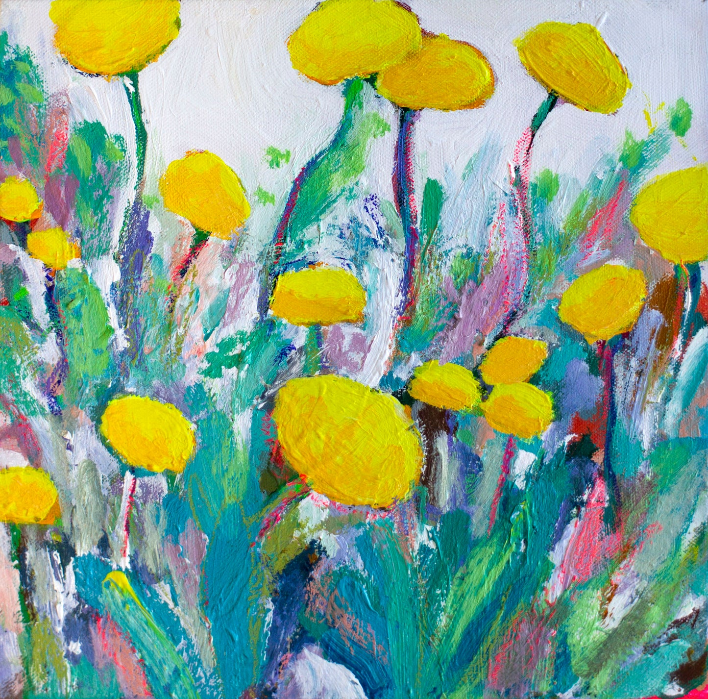 Billy buttons 3