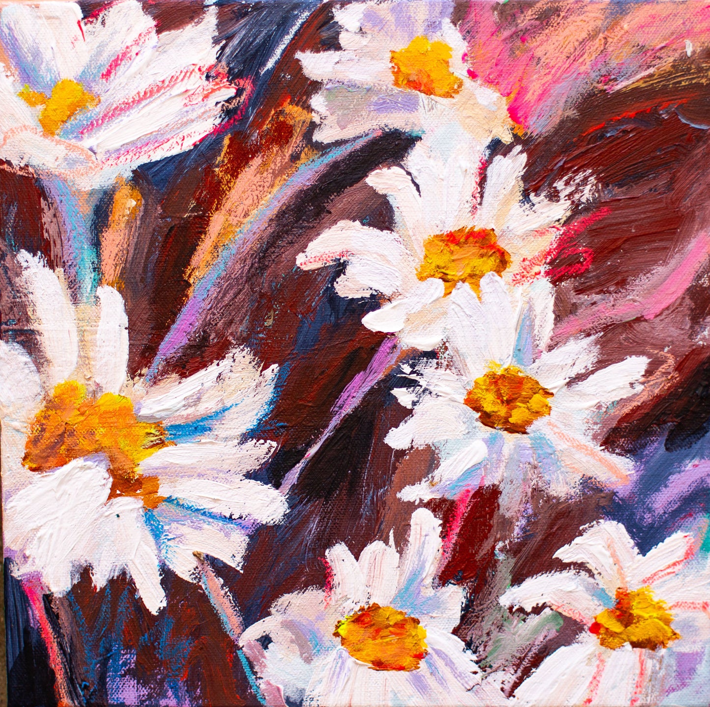 Wild Daisies 1