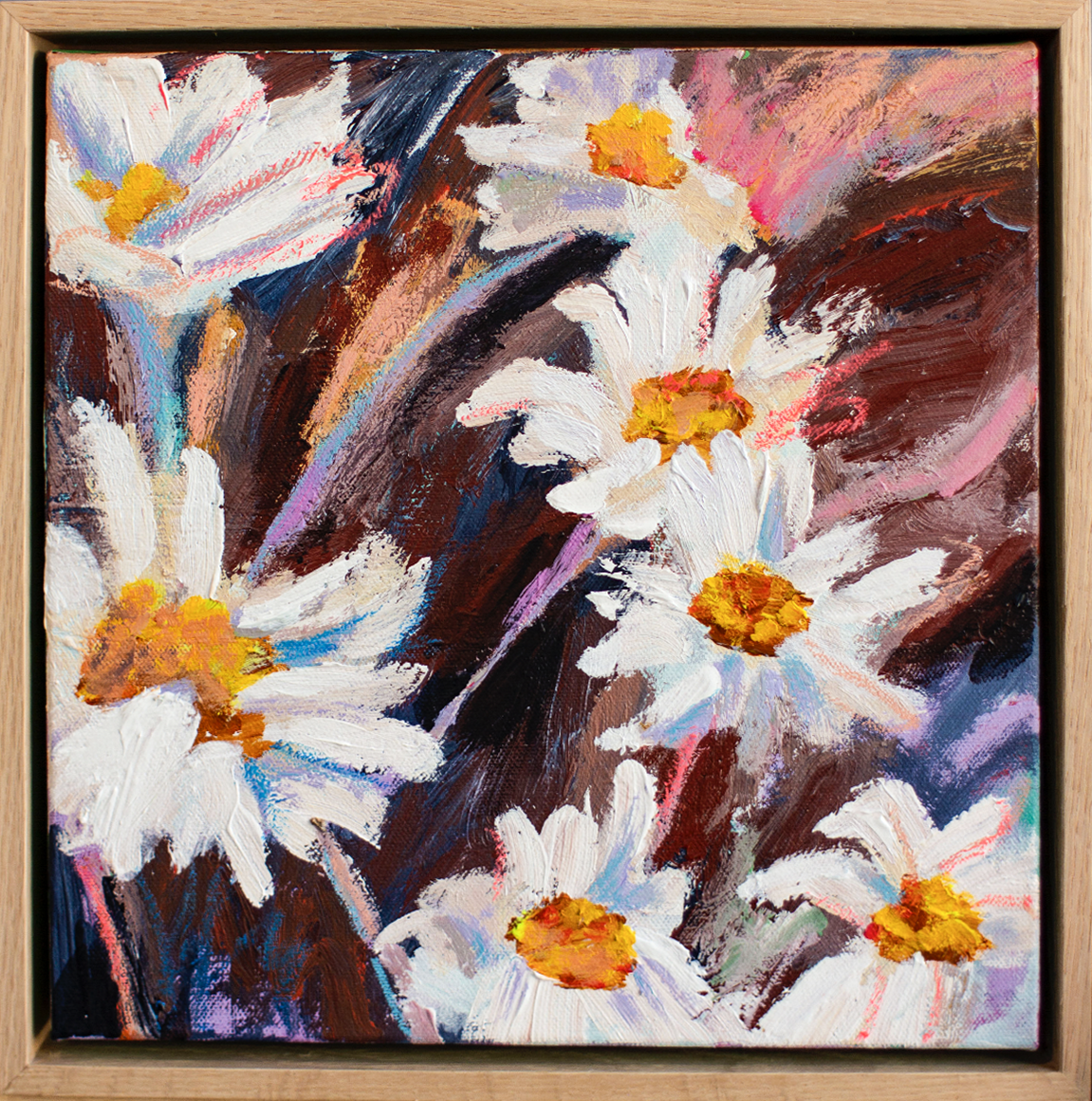 Wild Daisies 1