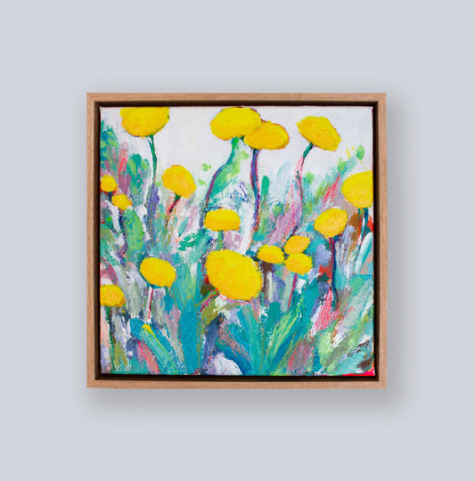 Billy buttons 3