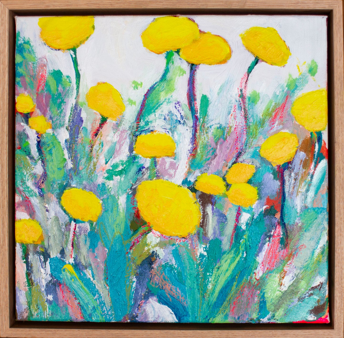 Billy buttons 3