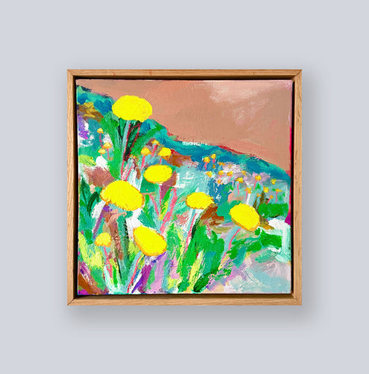Billy buttons 1